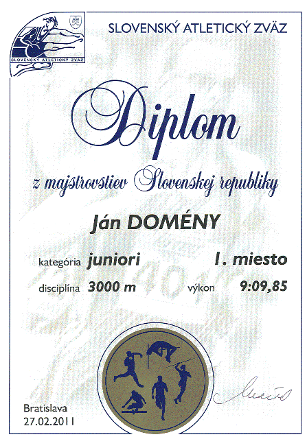 Dilpom_1